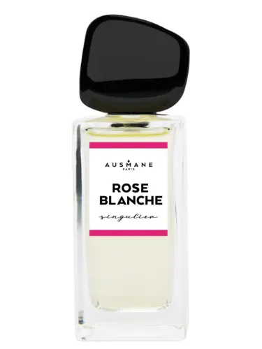 Imagen de Rose Blanche