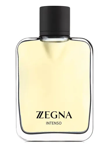 Imagen de Zegna Intenso