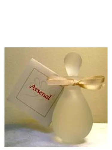 Perfume Arsenal de Ayala Moriel
