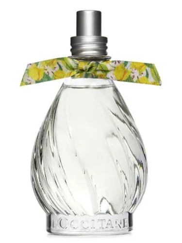 Imagen de Flor de Graviola