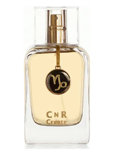 Imagen de Capricorn for Men