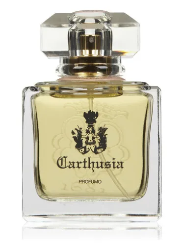Imagen de Carthusia Lady