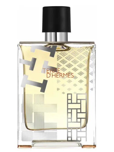 Imagen de Terre d'Hermes Flacon H 2016 Eau de Toilette