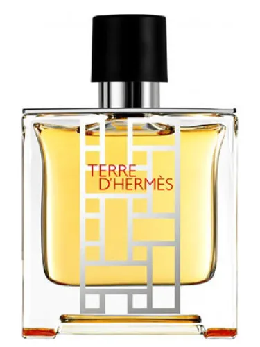 Imagen de Terre d'Hermès flacon H 2013
