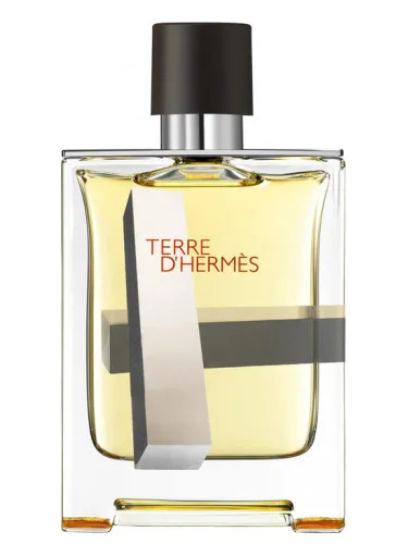 Imagen de Terre d'Hermes Perspective