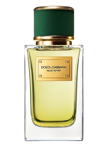Perfume Velvet Vetiver de Dolce&Gabbana