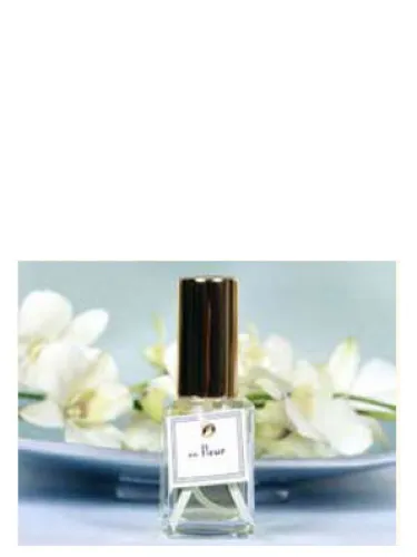 Perfume En Fleur de DSH Perfumes