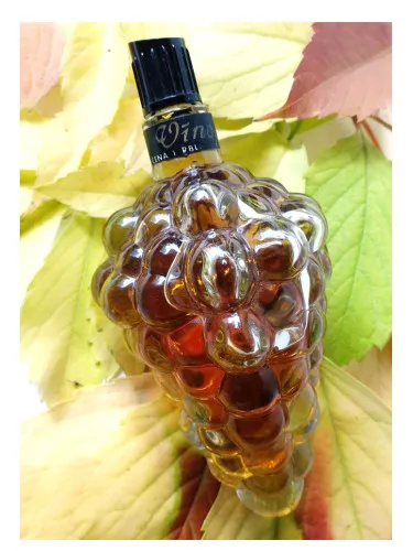 Perfume Vinogas (Виноград) de Dzintars