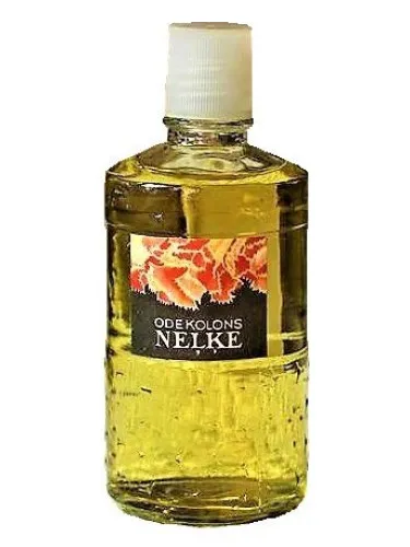 Perfume Neļķe (Гвоздика) de Dzintars