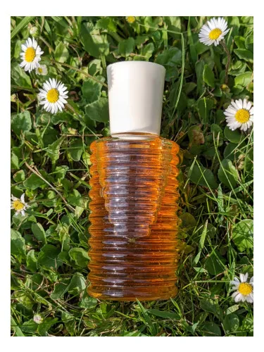 Perfume Margarita de Dzintars
