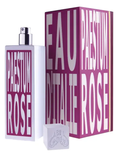 Imagen de Paestum Rose