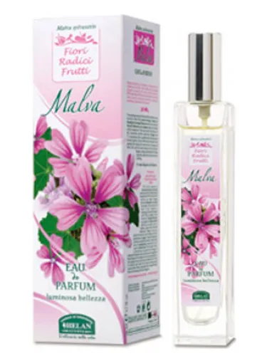 Imagen de Malva
