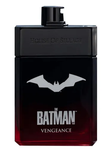 Imagen de The Batman Vengeance