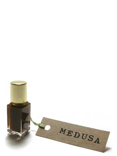 Imagen de Medusa