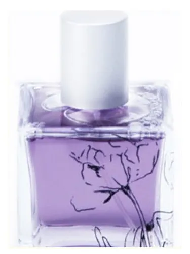 Perfume Sands of Morocco de Infusion Organique