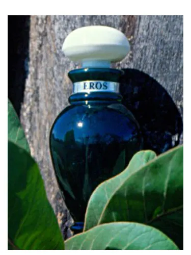 Perfume Eros de O Boticário