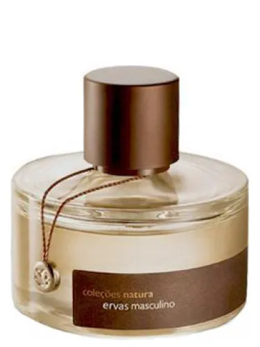 Imagen de Ervas Masculino