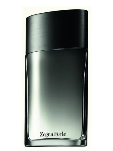 Imagen de Zegna Forte