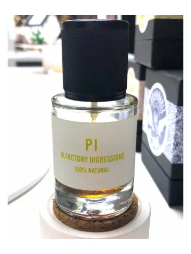 Imagen de PI