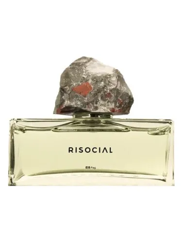 Perfume Fog 炜桑 de Risocial 在野南杂