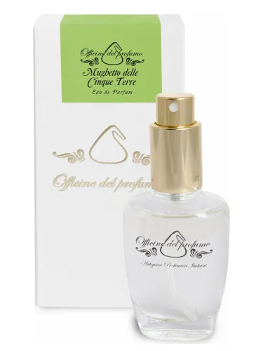 Perfume Mandarino e Spezie de Officine del Profumo