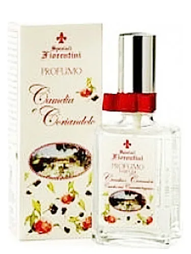 Perfume Camelia e Coriandolo de Derbe