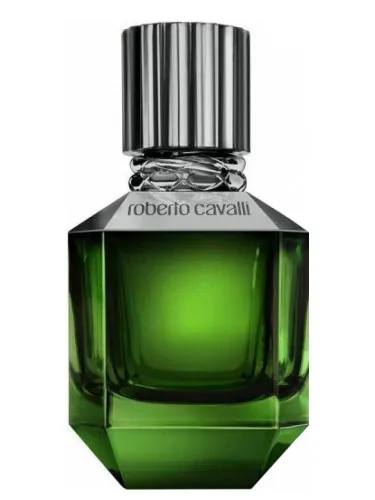 Imagen de Paradise Found For Men