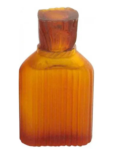 Perfume Nicole Miller for Men de Nicole Miller