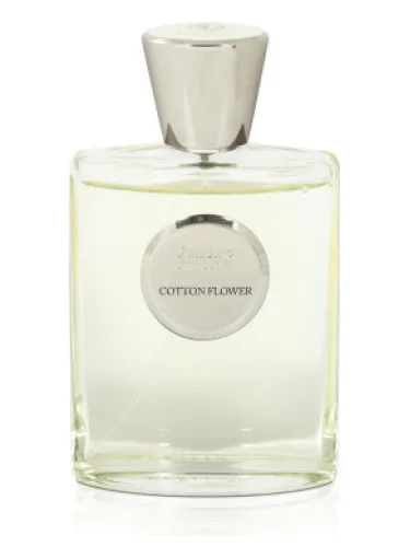 Imagen de Cotton Flower