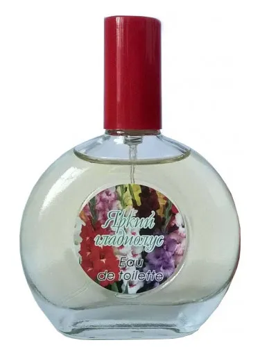 Imagen de Bright Gladiolus