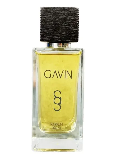 Imagen de Gavin