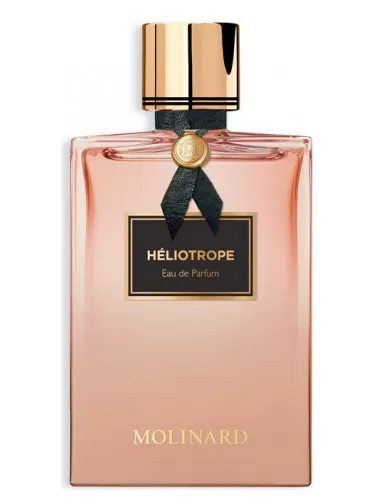 Imagen de Héliotrope