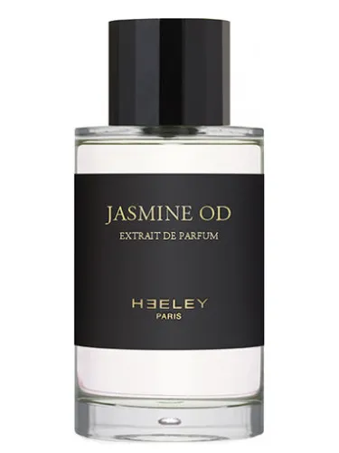 Imagen de Jasmine OD