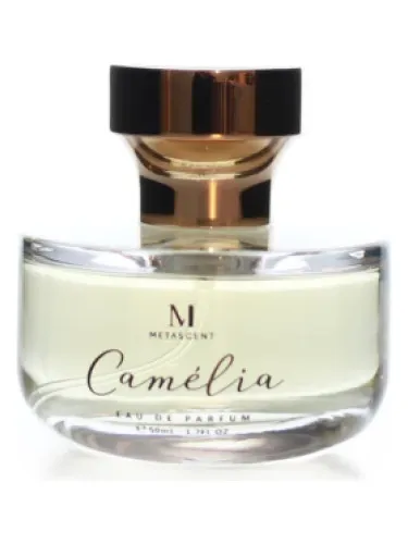 Imagen de Camelia