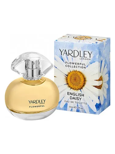 Imagen de English Daisy