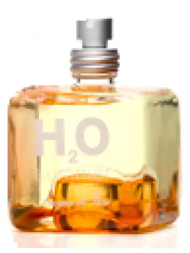 Perfume H2O Summer de L'acqua Di Fiori