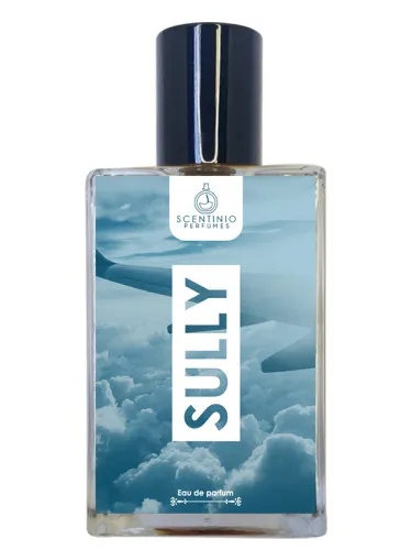 Imagen de Sully