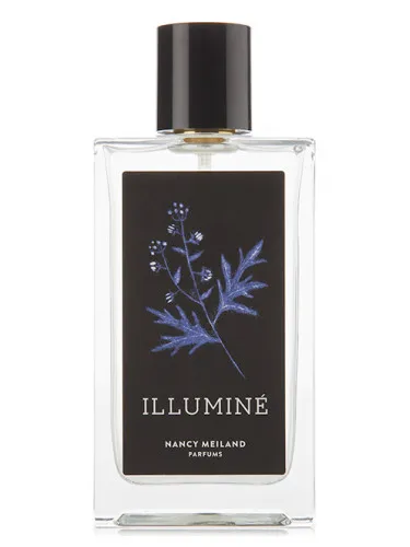 Imagen de Illuminé