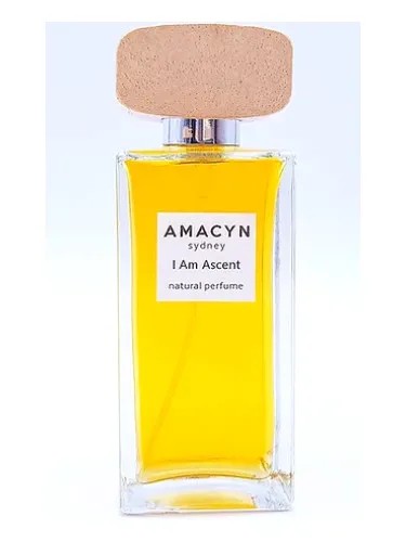 Imagen de I Am Ascent