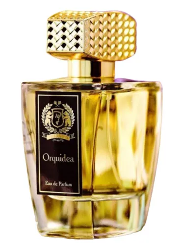 Imagen de Orquidea