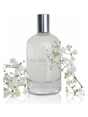 Imagen de Morreale Pour Homme