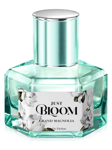 Imagen de Just Bloom Grand Magnolia