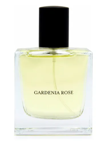 Imagen de Gardenia Rose
