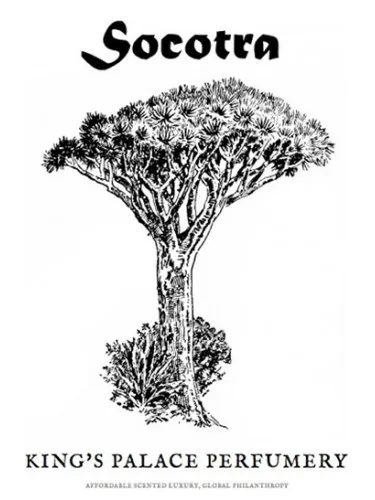Imagen de Socotra