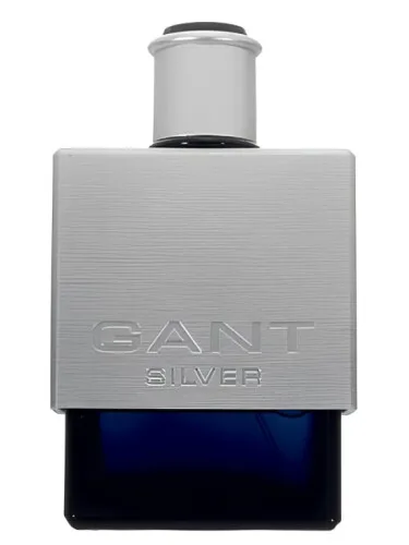 Imagen de Gant Silver