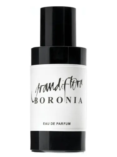 Imagen de Boronia