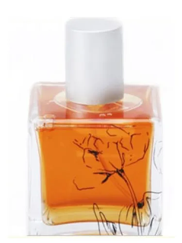 Perfume Indochine de Infusion Organique