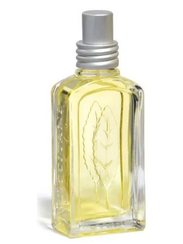 Perfume Verveine Agrumes 2008 de L'Occitane en Provence