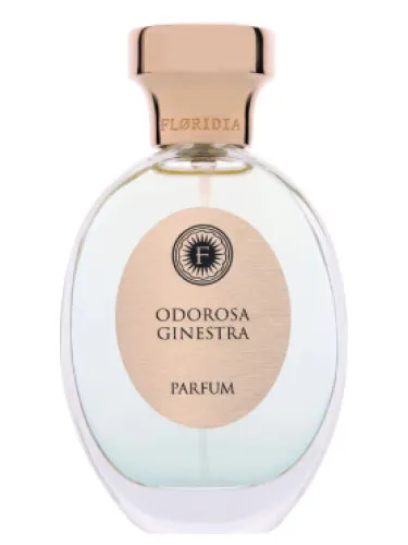 Perfume Odorosa Ginestra de Floridia Parfum