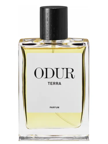 Imagen de Terra